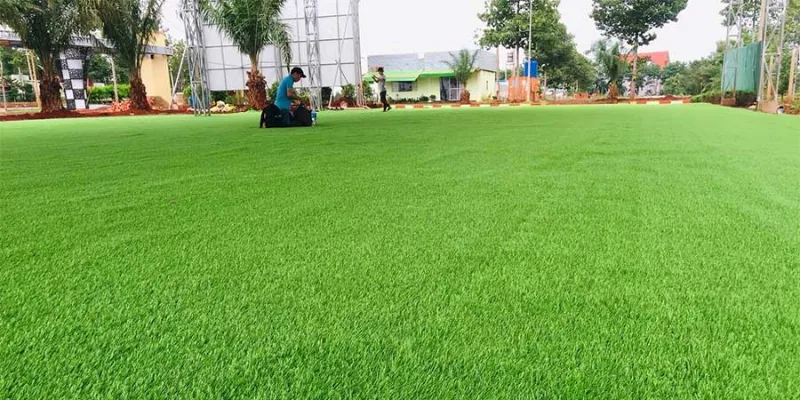 Tìm hiểu về nguồn gốc và đặc điểm cỏ nhân tạo